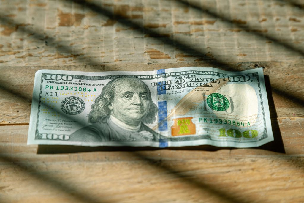 How to Invest Your First $100